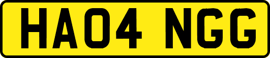 HA04NGG