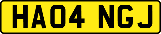HA04NGJ