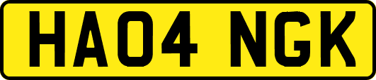 HA04NGK