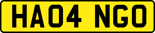 HA04NGO
