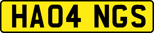 HA04NGS