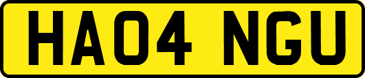 HA04NGU
