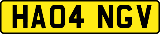 HA04NGV