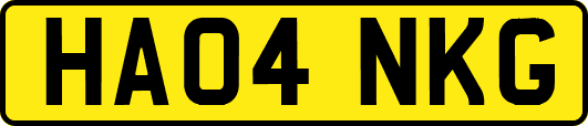 HA04NKG