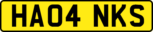 HA04NKS