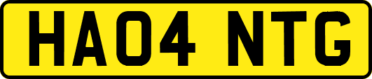 HA04NTG