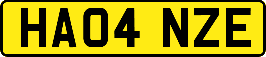 HA04NZE