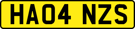 HA04NZS