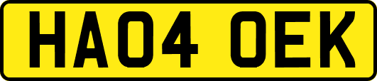 HA04OEK