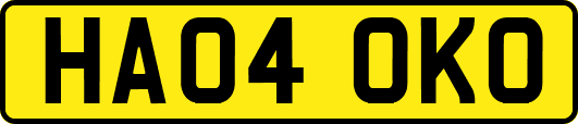 HA04OKO