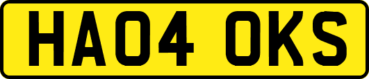 HA04OKS
