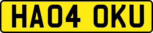 HA04OKU