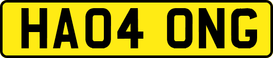 HA04ONG