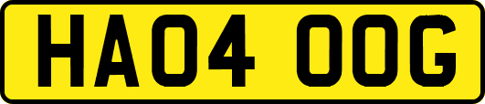 HA04OOG