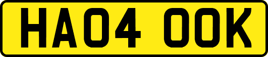HA04OOK