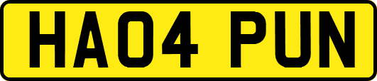 HA04PUN