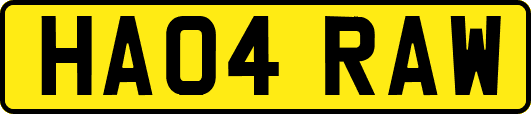 HA04RAW