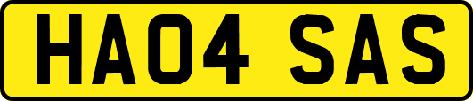 HA04SAS