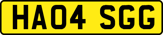 HA04SGG