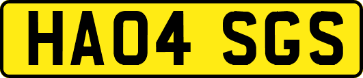 HA04SGS