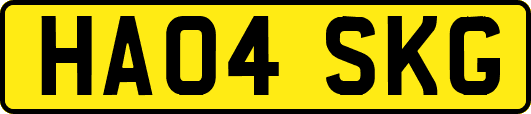 HA04SKG