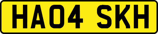 HA04SKH