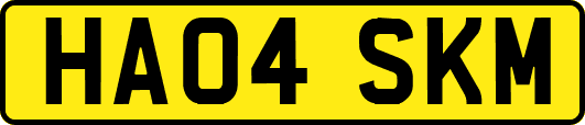 HA04SKM