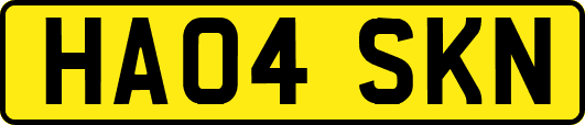 HA04SKN