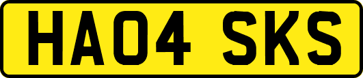 HA04SKS