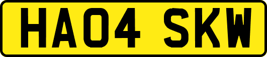 HA04SKW