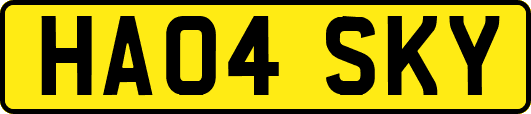 HA04SKY