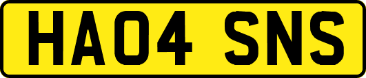 HA04SNS