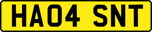 HA04SNT