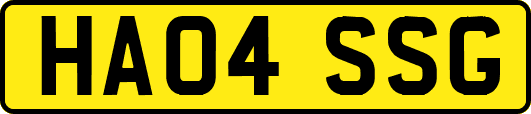 HA04SSG