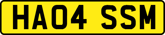 HA04SSM