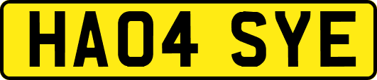 HA04SYE