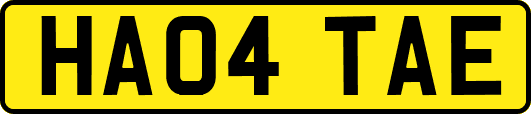 HA04TAE