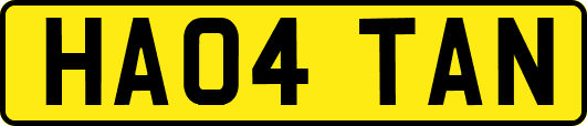 HA04TAN