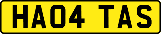 HA04TAS