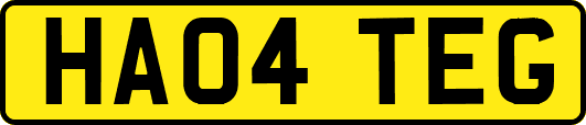 HA04TEG