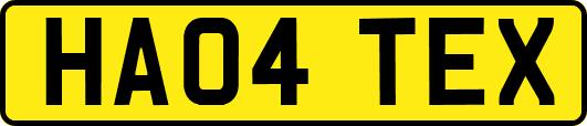 HA04TEX