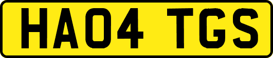 HA04TGS
