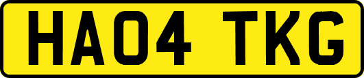 HA04TKG