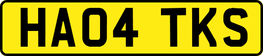 HA04TKS