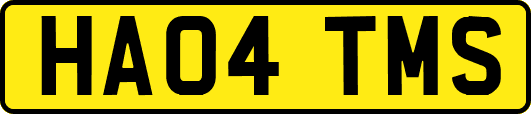 HA04TMS