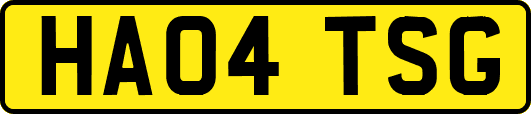 HA04TSG