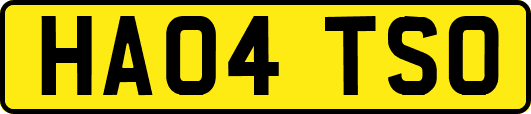 HA04TSO