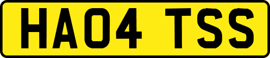HA04TSS