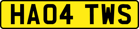 HA04TWS