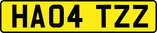 HA04TZZ
